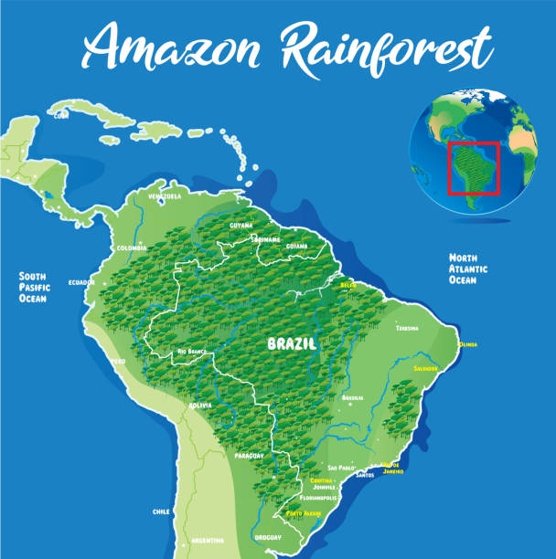 GeoCamp Amazon 2024 -  Deposit